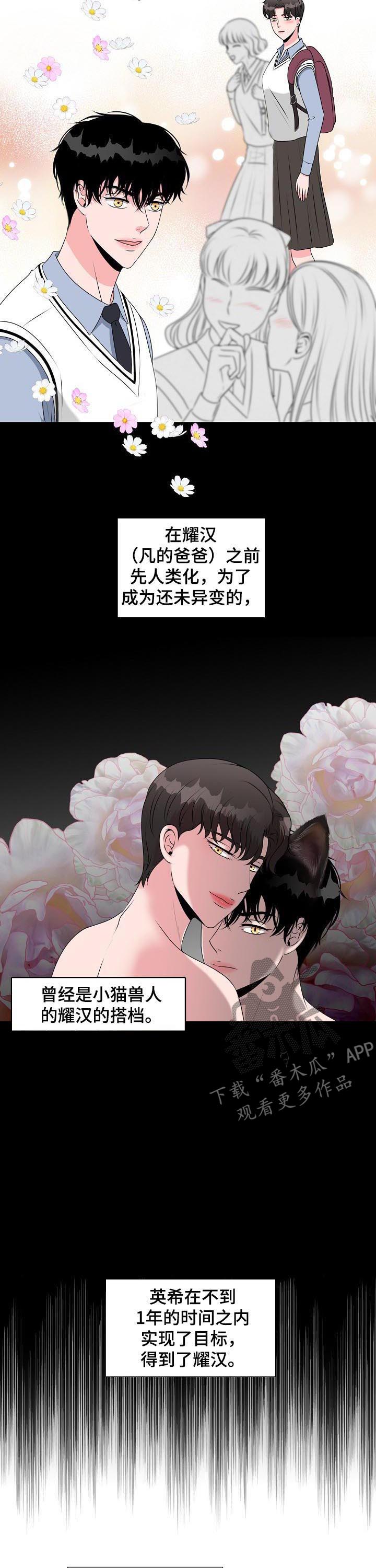 猫猫初体验 第32话 第14页