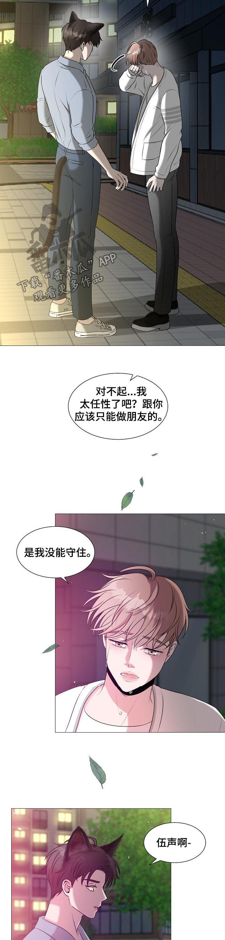猫猫初体验 第39话 第3页
