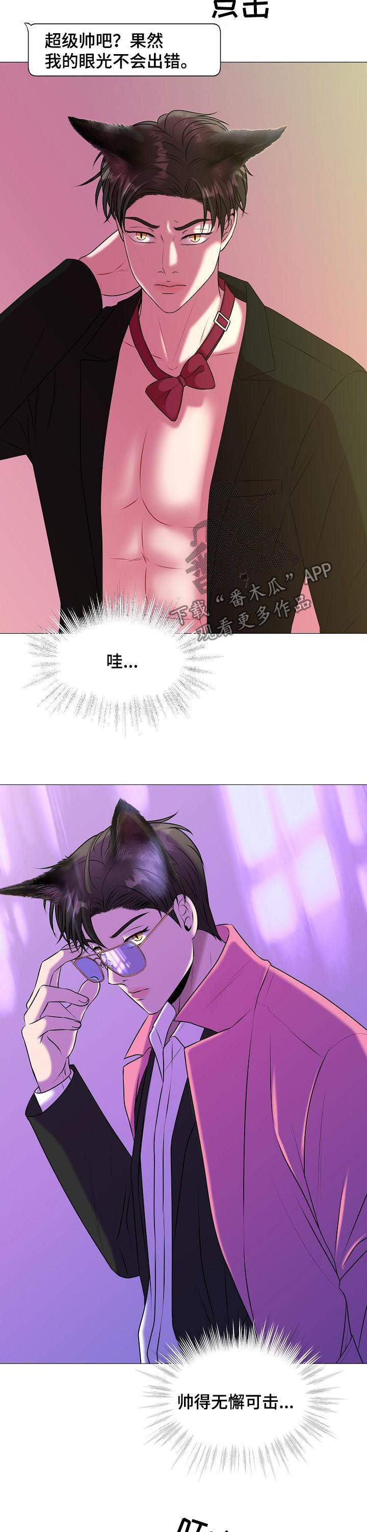 猫猫初体验 第37话 第6页