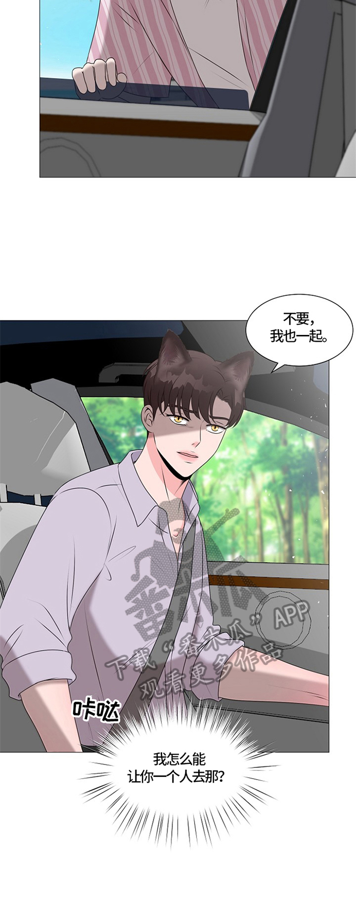 猫猫初体验 第28话 第13页
