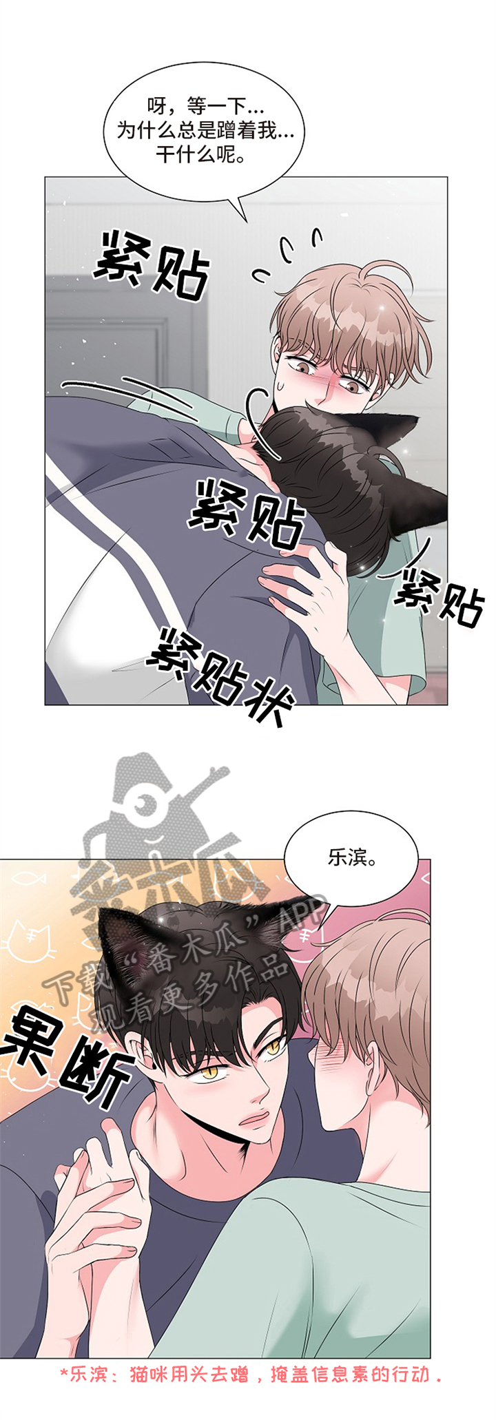 猫猫初体验 第5话 第2页