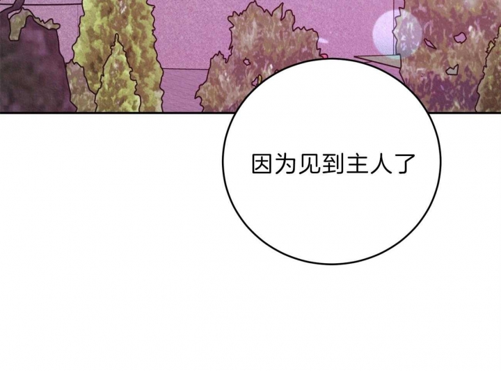 厚颜无耻 第53话 第28页