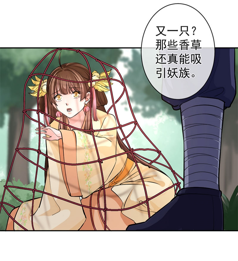 研香奇谈 第64话 第11页