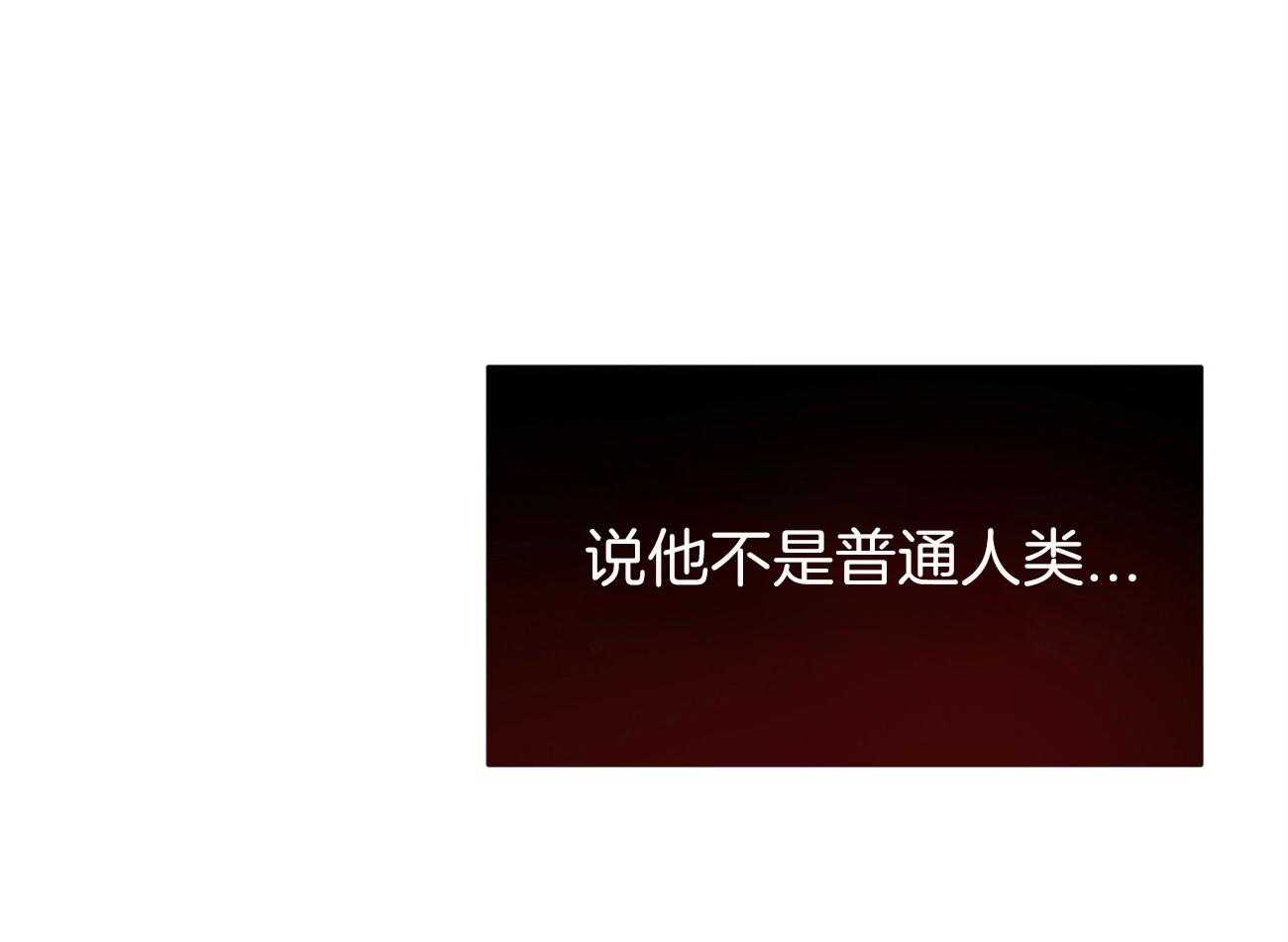 不夜城（共2季） 第91话 调查 第9页