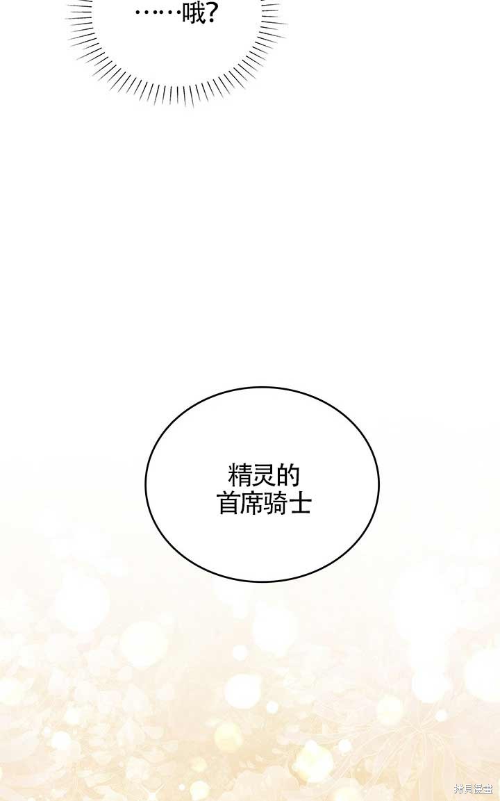 不要执著于像我这样的精灵！ 第2话 第17页