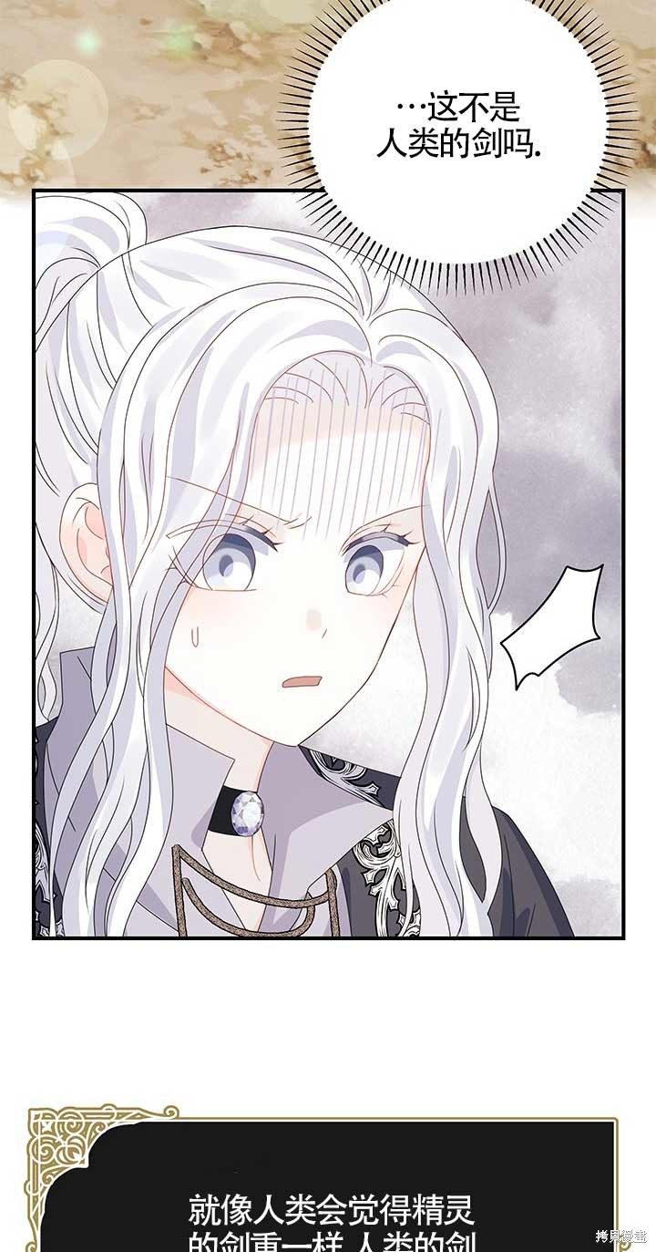 不要执著于像我这样的精灵！ 第11话 第43页