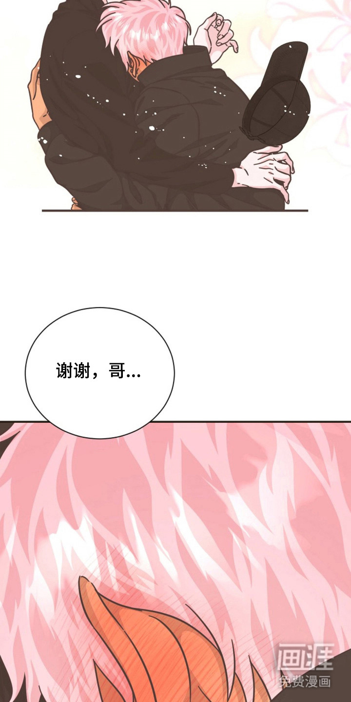 我的爱豆弟弟 第27话 第13页