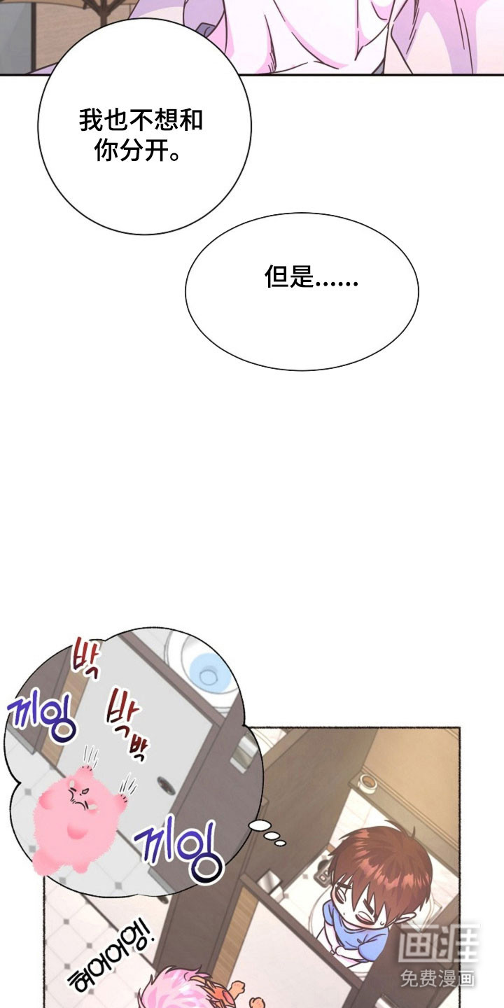 我的爱豆弟弟 第61话 第13页