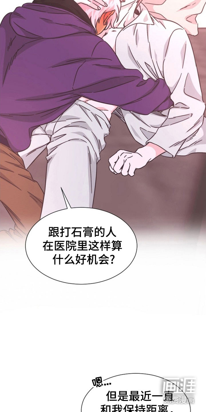 我的爱豆弟弟 第41话 第13页