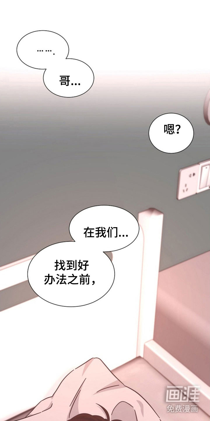我的爱豆弟弟 第41话 第17页