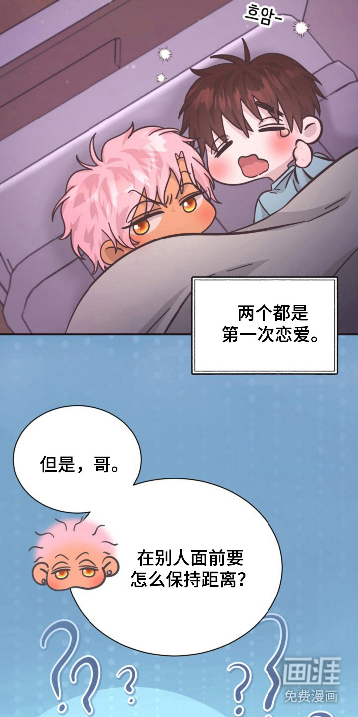 我的爱豆弟弟 第36话 第19页